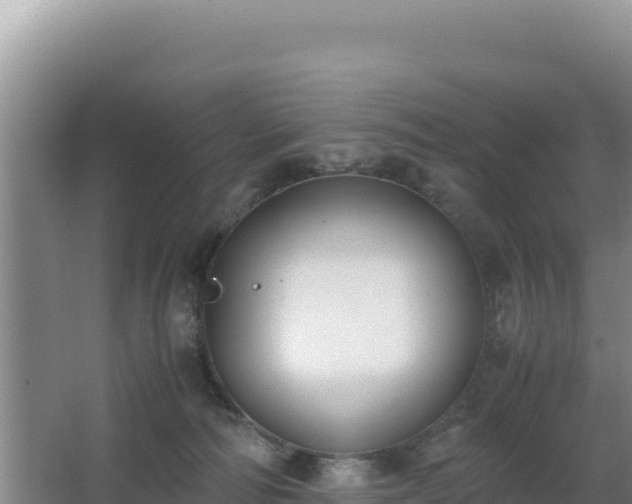 X0000062850226200601171519