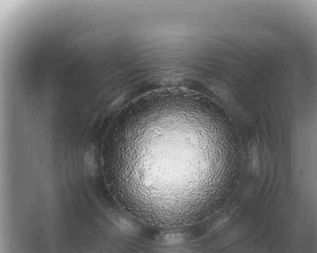 X0000062850228200601171519