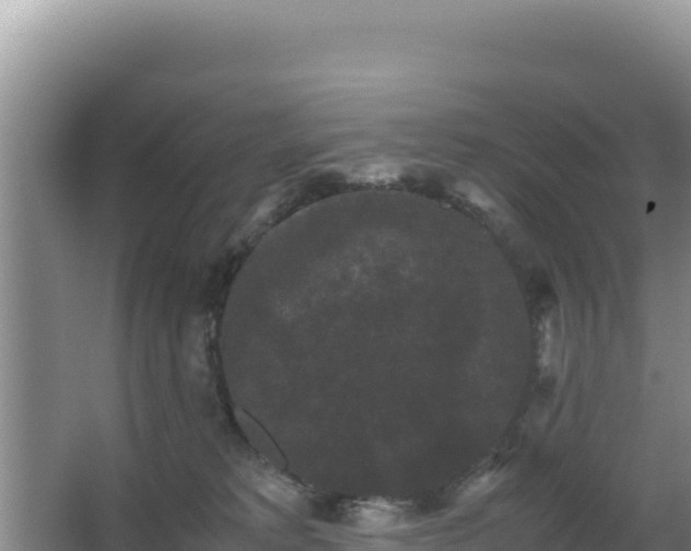 X0000062850229200601171519