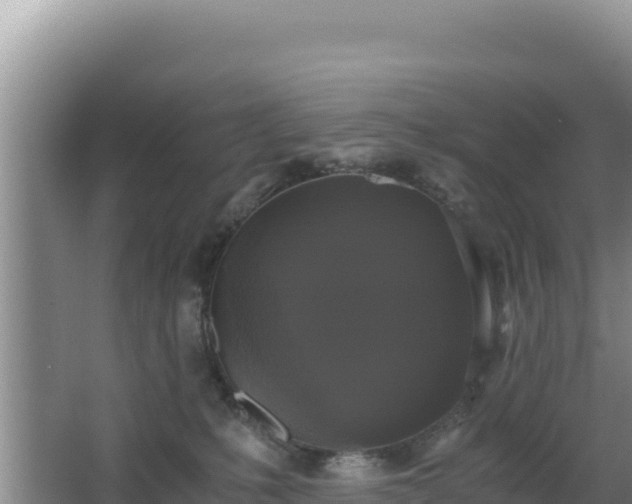 X0000062850231200601171519