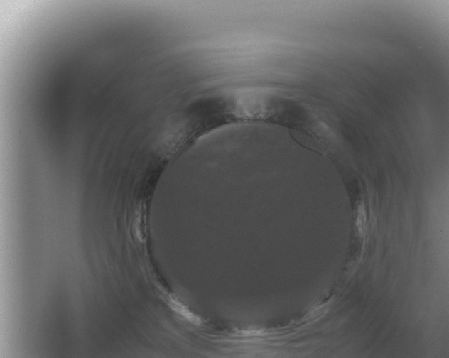 X0000062850233200601171519