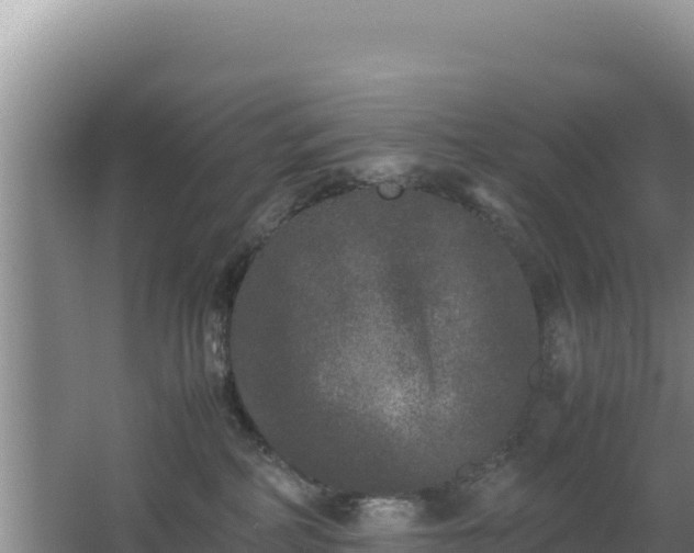 X0000062850234200601171519