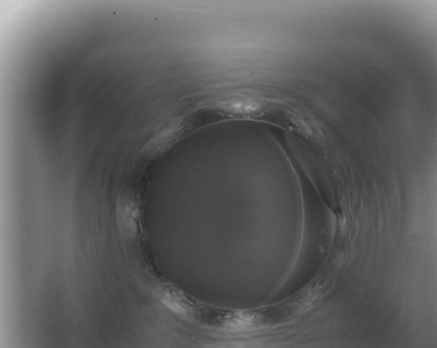 X0000062850235200601171519