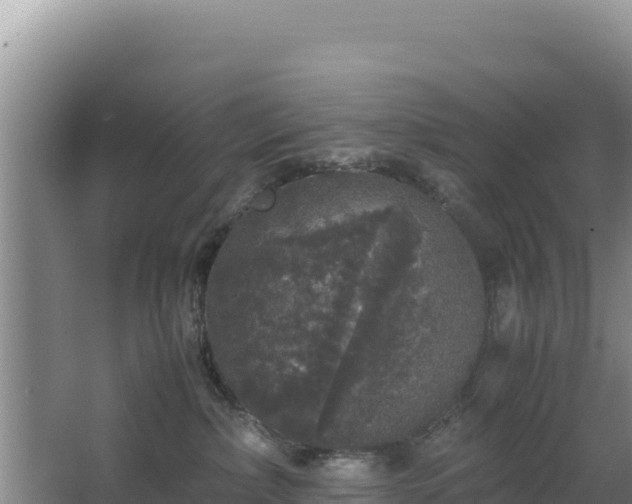 X0000062850236200601171519