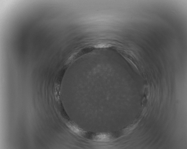 X0000062850237200601171519