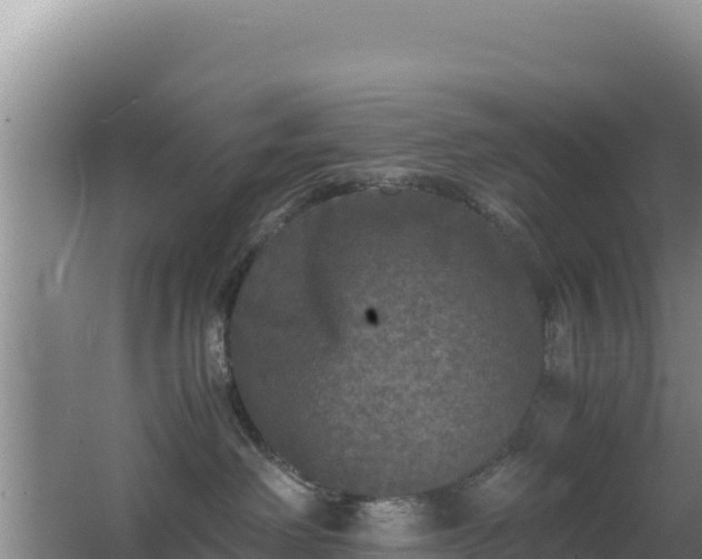 X0000062850238200601171519