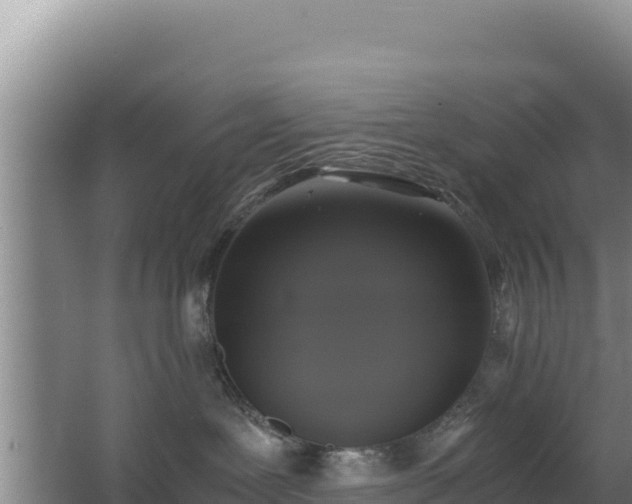 X0000062850239200601171519