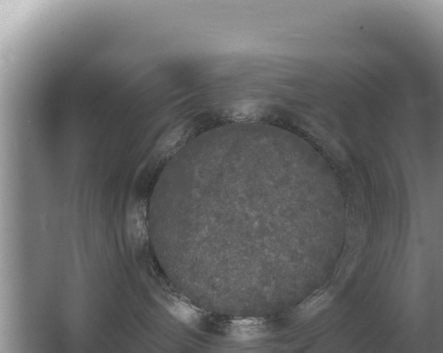 X0000062850240200601171519