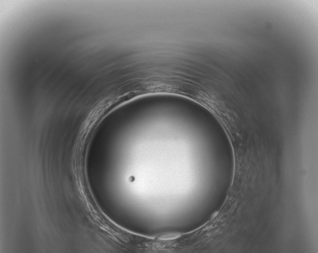 X0000062850241200601171518