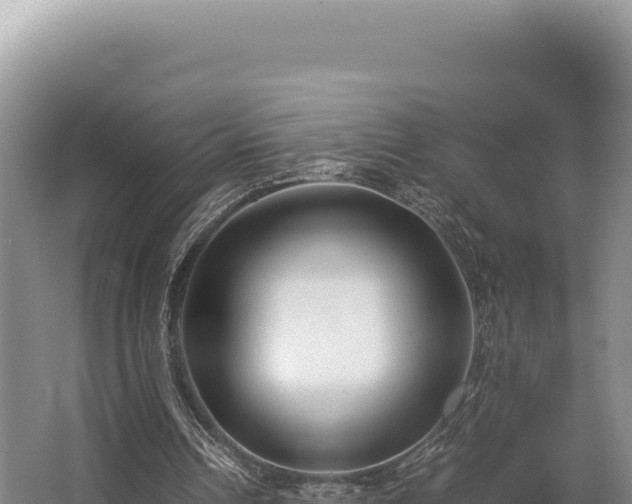 X0000062850242200601171518