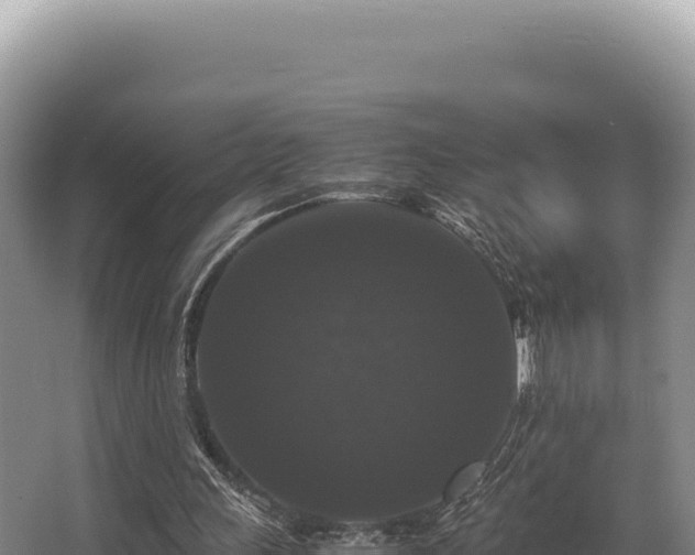 X0000062850243200601171518