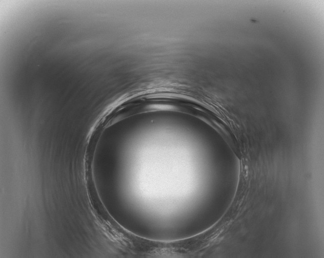 X0000062850244200601171518