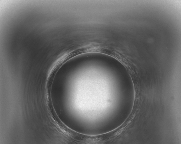 X0000062850245200601171518