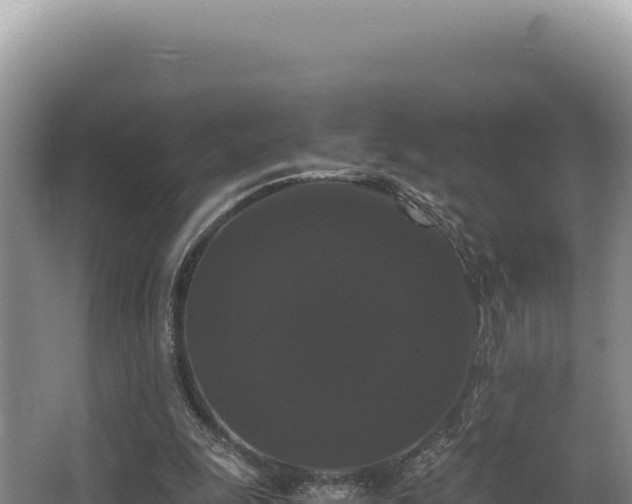 X0000062850247200601171518