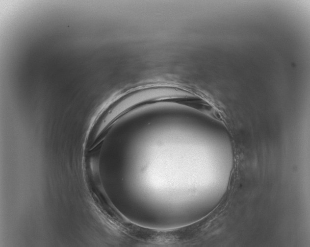 X0000062850248200601171518