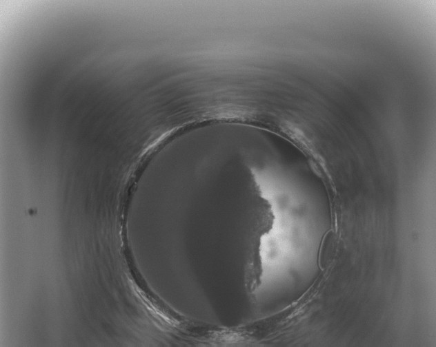 X0000062850249200601171518