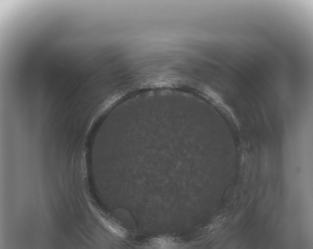 X0000062850250200601171518