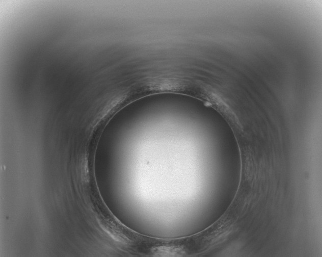 X0000062850251200601171518