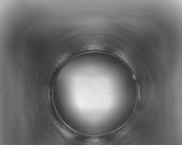 X0000062850253200601171518