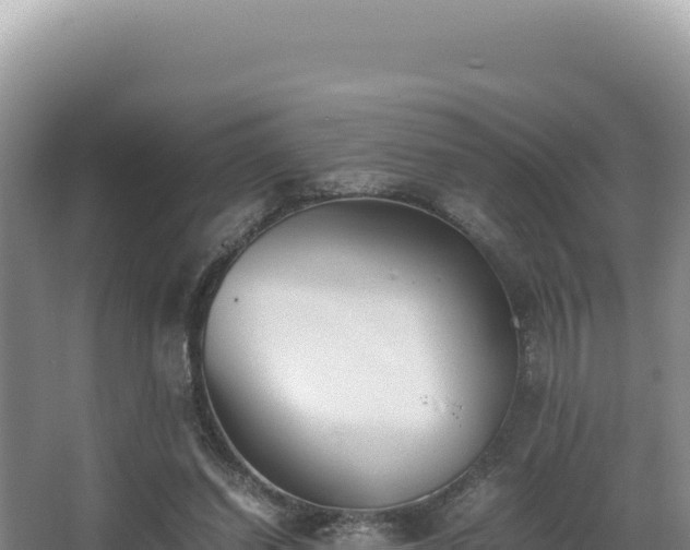 X0000062850254200601171518