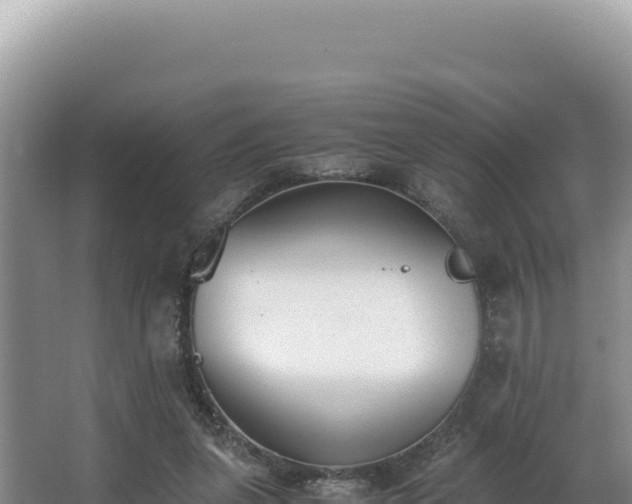 X0000062850255200601171518