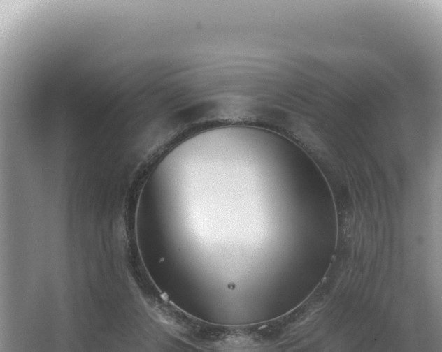 X0000062850256200601171518