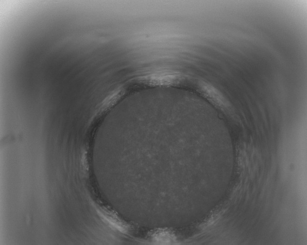 X0000062850258200601171519