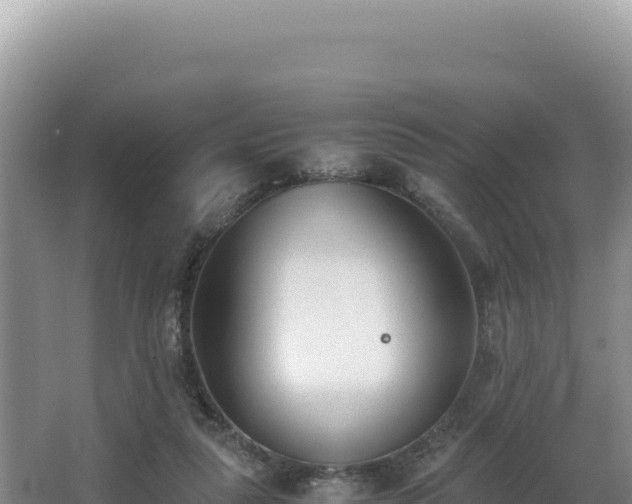 X0000062850259200601171519