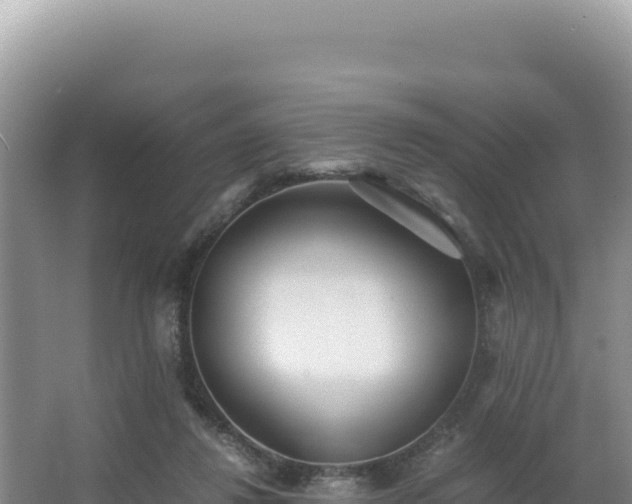 X0000062850260200601171519