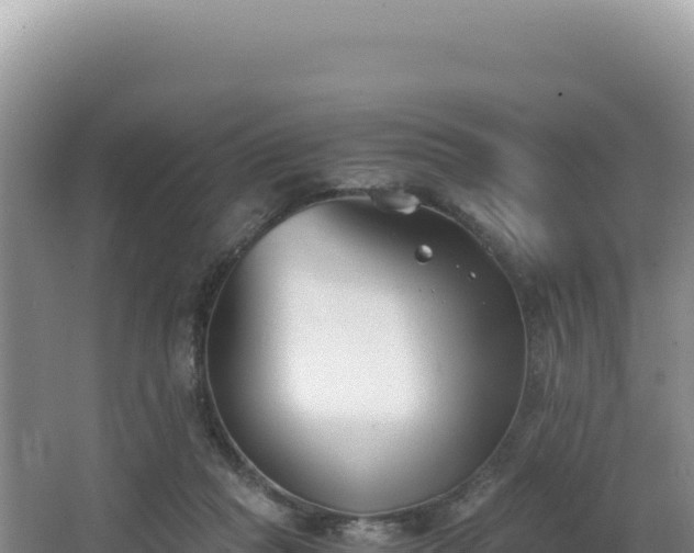 X0000062850261200601171519