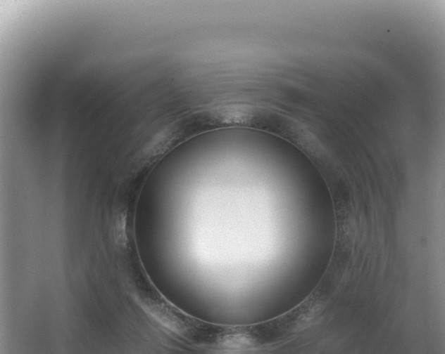 X0000062850262200601171519