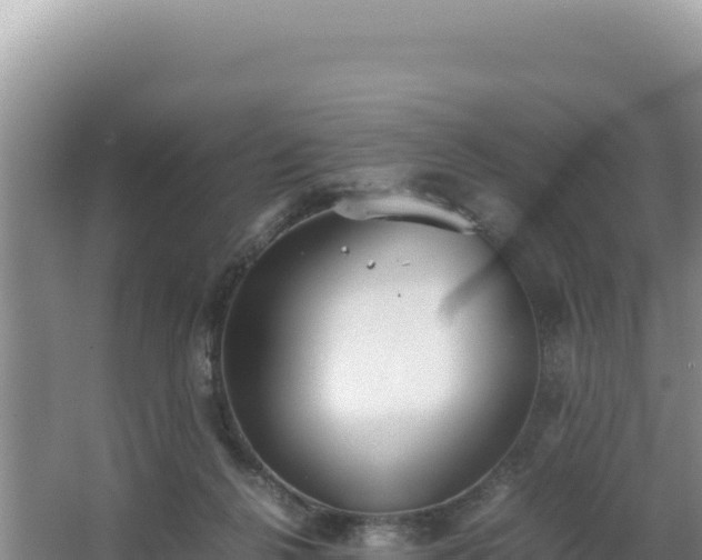 X0000062850264200601171519