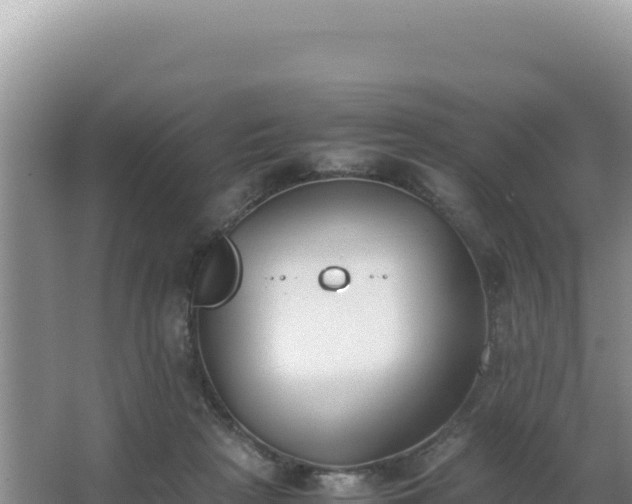 X0000062850265200601171519