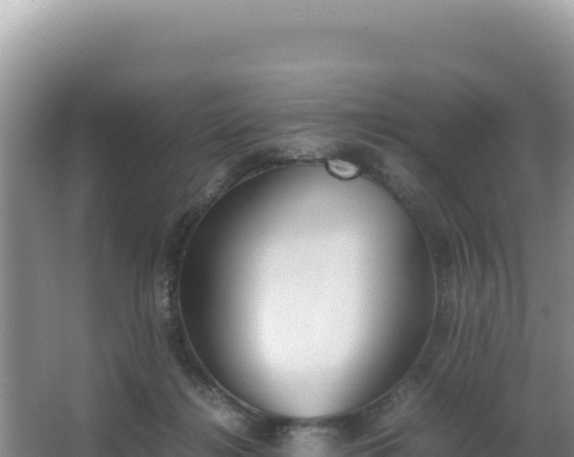 X0000062850268200601171519