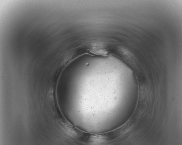 X0000062850269200601171519