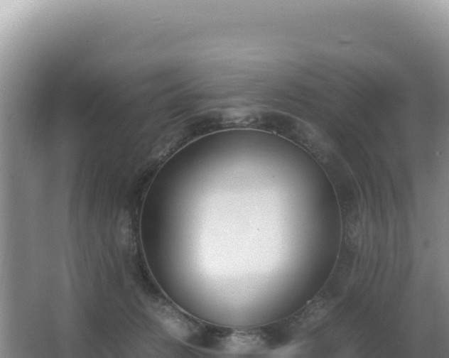 X0000062850270200601171519