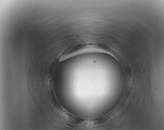 X0000062850276200601171519