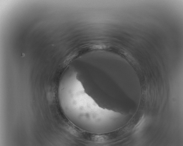 X0000062850277200601171519