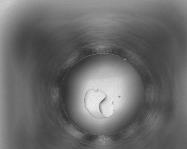 X0000062850278200601171519