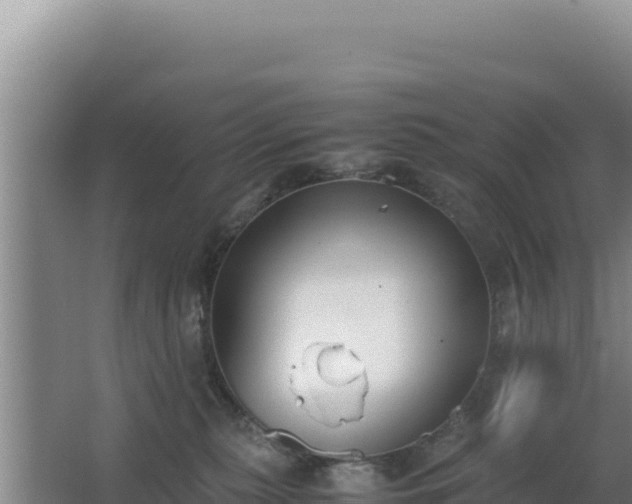 X0000062850279200601171519