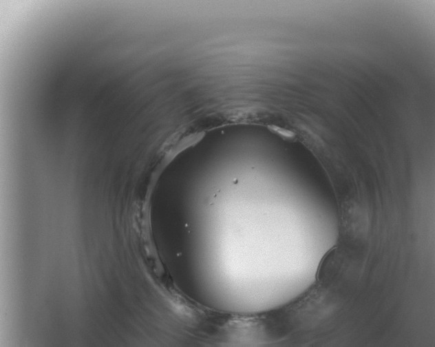 X0000062850280200601171519