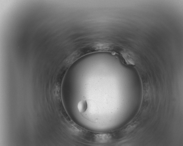 X0000062850281200601171519