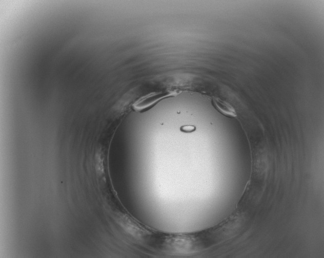 X0000062850282200601171519