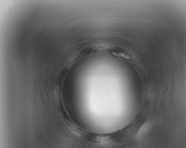 X0000062850283200601171519