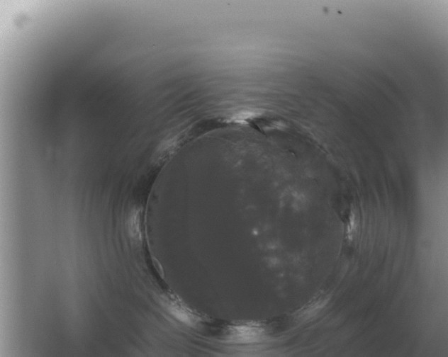 X0000062850286200601171519