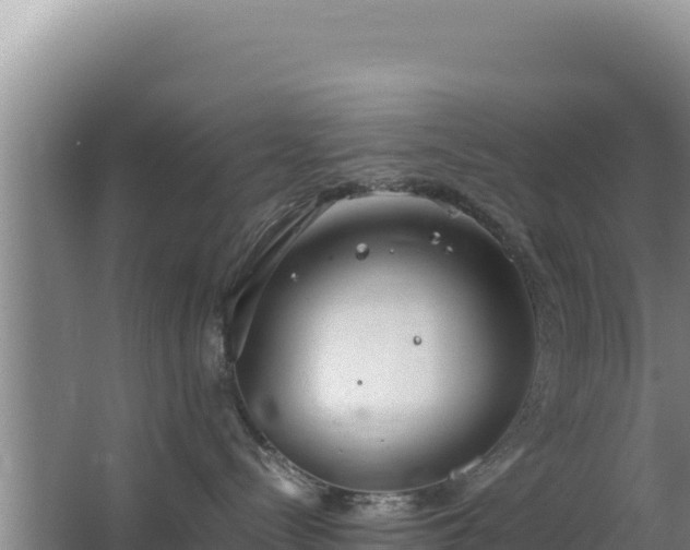 X0000062850288200601171519