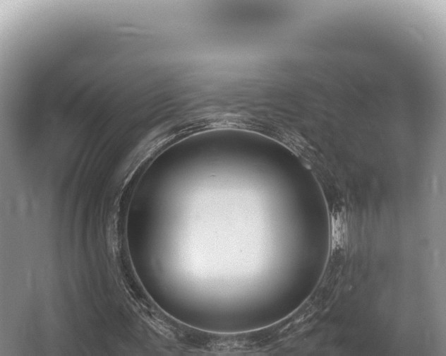 X0000062850291200601171518