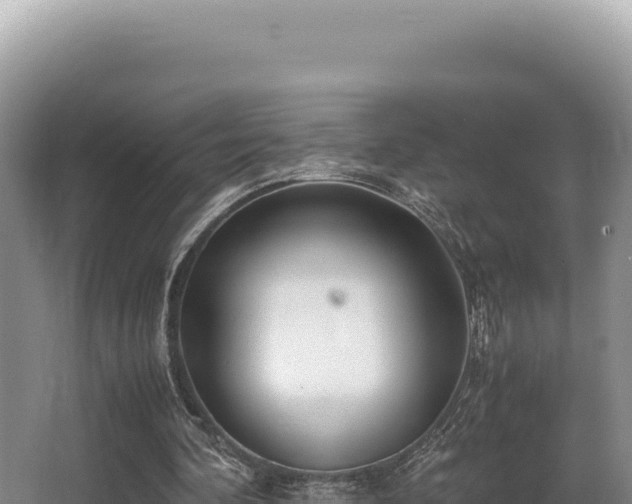 X0000062850292200601171518