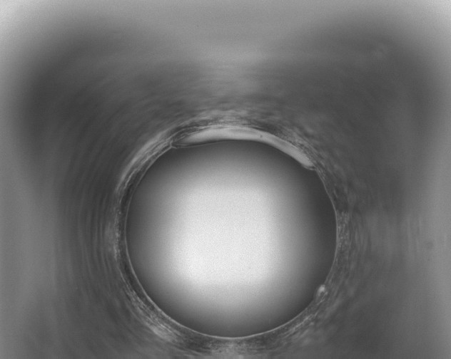 X0000062850293200601171518