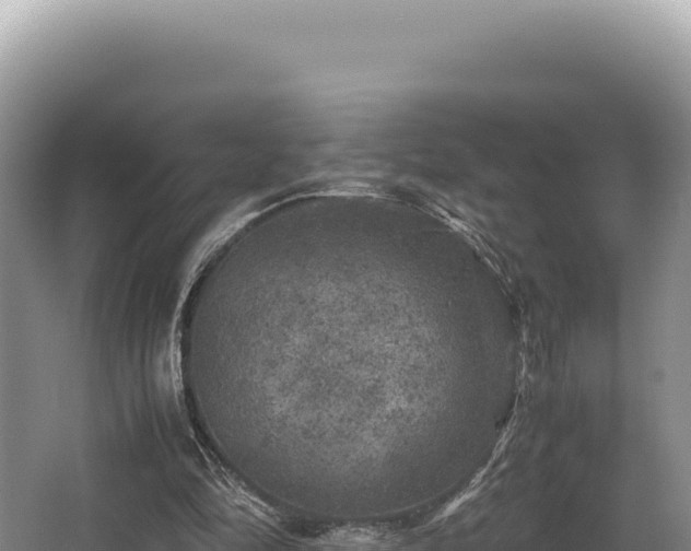 X0000062850294200601171518